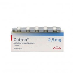 Гутрон таблетки 2,5 мг. №20 в Перми и области фото